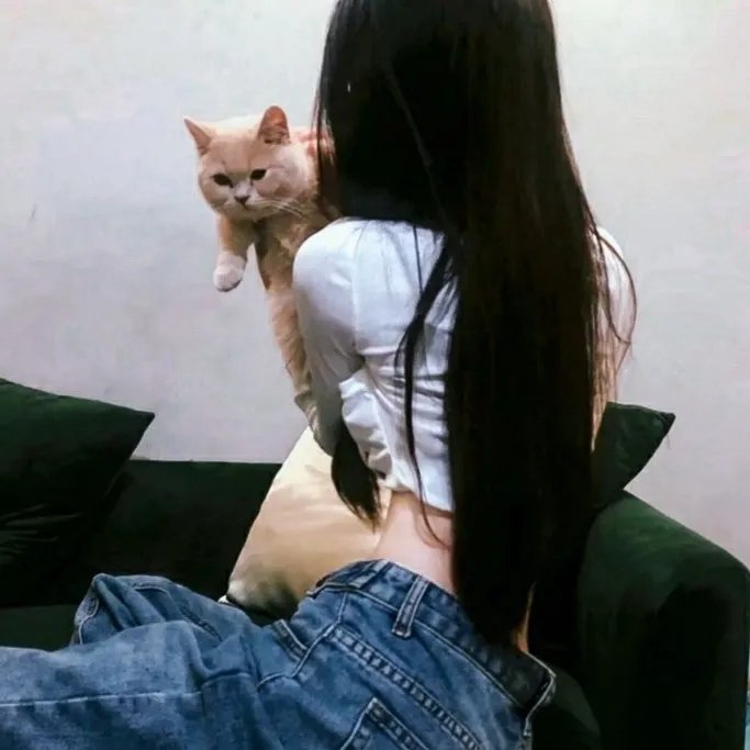 追寻爱情的异乡客